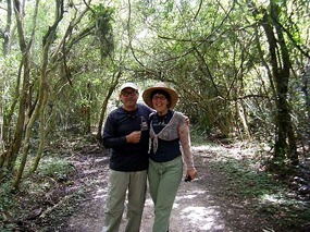 Taking a stroll to see very quiet Howler Monkeys