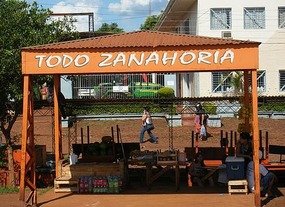 Everything Carrot (but only seem to sell fruit)
