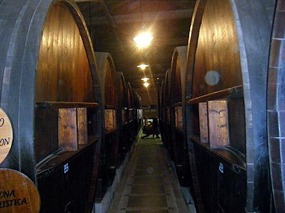 Museo del vino, Maipu