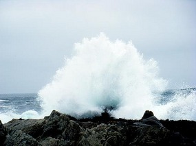 On the beach, Isla Negra