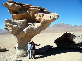 Arbol de Piedra