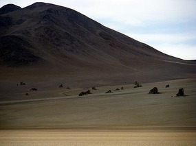 Dalí desert