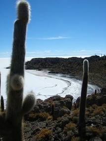 On Incahuasi looking out to 'sea' (actually salt)