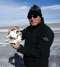 TP with llama skull