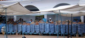 Potato stalls at the market
