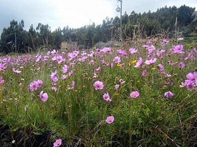 Our walk to Yampupata