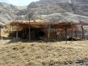 Animal (& human?) shelter on the way