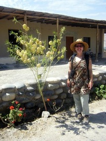 J outside the entrance with interesting plant