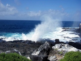 The blow hole on the shore