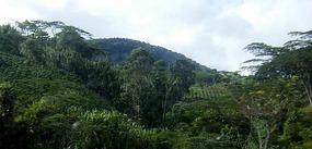En-route to Medellin
