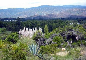 On our walk to El Infiernito
