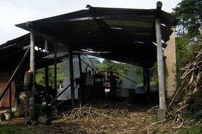 Sugar processing plant