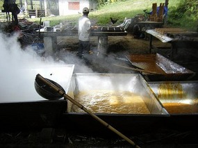 vats of boiling cane juice