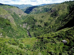 View from the top