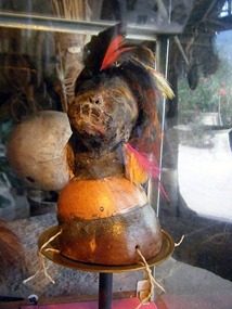 Genuine shrunken head
