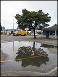 After the rain