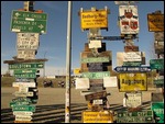 Sign Post Forest