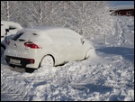 Find the right car first