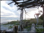 Driftwood canopy at Mister David's