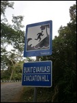 No tsunamis, please!