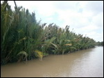 Riverbank