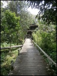 Walking to the research station