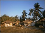 Our bungalows