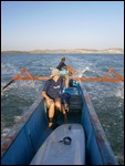 Surf Safari