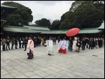 Shinto wedding!