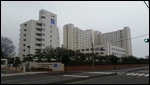 Japan Bethel Branch