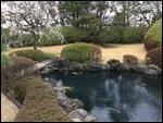 Part of the Bethel koi pond