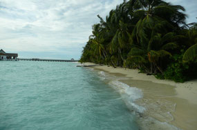 The beach