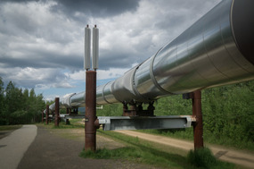 These chimneys help stabilize the permafrost below