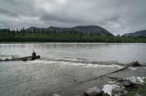 The Blackstone River with moose.