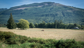 Farmer in Sedro-Woolley, WA