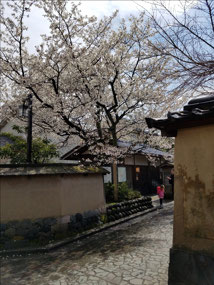 Edo area