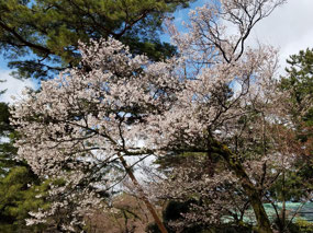 Kenrokuen Garden