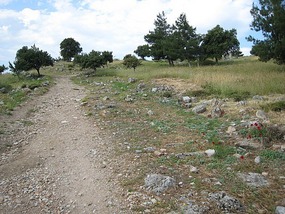 Up the hill to Priene