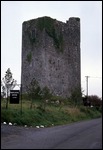 Mountcashel Tower House (Kilmurry Castle)