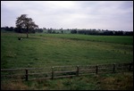 Pastoral Scene at Knappogue Castle