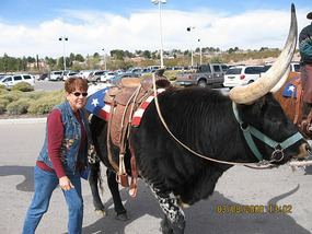 Cowgirl Nelly