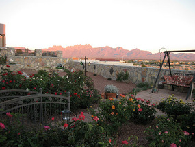 Looking east toward the Organ Mts.