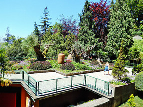 Botanical Garden