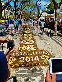Celebrating the flower festival in Funchal