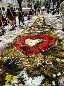 Flowers, flowers everywhere