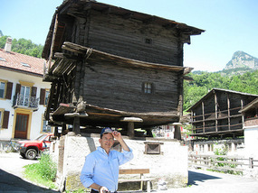 There are many old barns like this one...