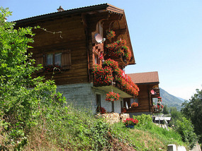 Typical houses 