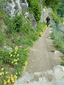 Flowers are everywhere along the trail