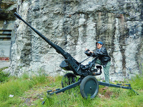 Swiss Army cannons along the trail.