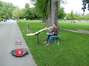 Making a living in the park